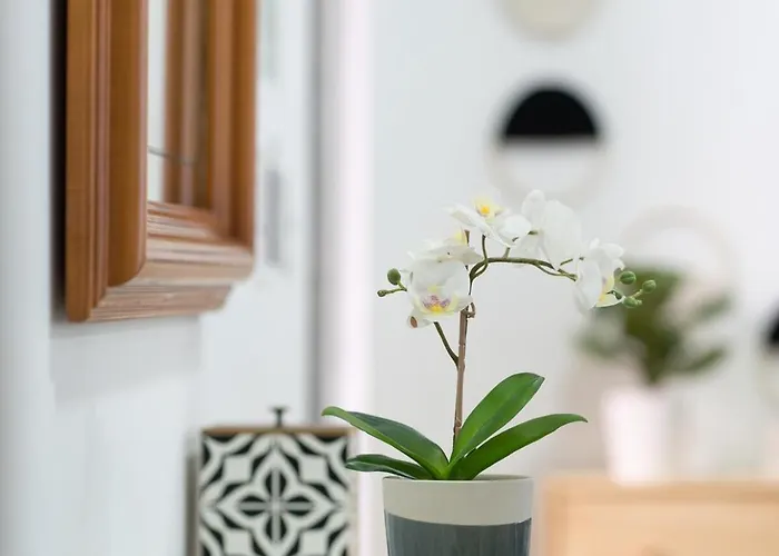 Apartamento Casa Cielo México DF